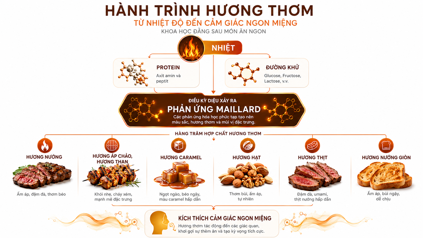 Phản ứng Maillard tạo nên màu sắc, hương thơm và mùi vị đặc trưng